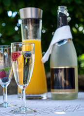 Sparkling wine with fresh fruit in a champagne glass, with a carafe of orange juice and a champagne bottle in the background in a summery setting of a garden party