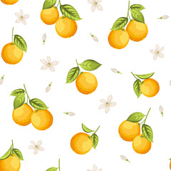 Seamless floral pattern with oranges. Vector illustration. - 775402455
