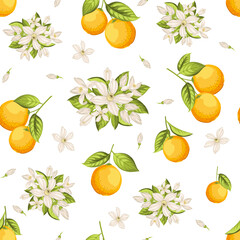 Seamless floral pattern with oranges. Vector illustration. - 775402641