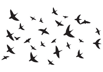 Set of flying birds Vector silhouettes