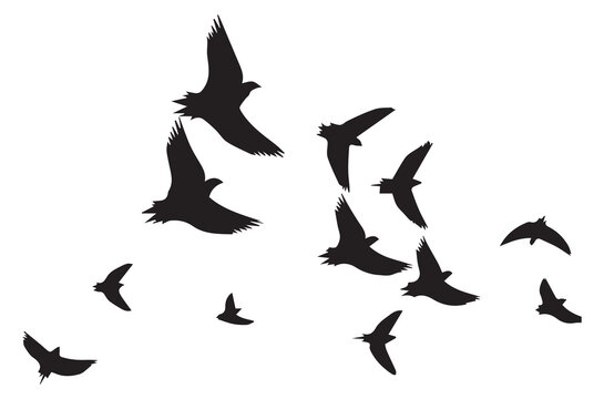 Set of flying birds Vector silhouettes