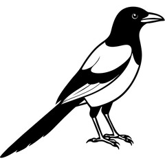 line art of a magpie