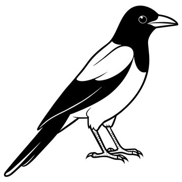 recommend clip art: line art of a magpie
