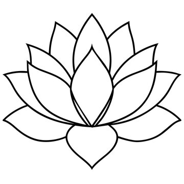 line art of a lotus