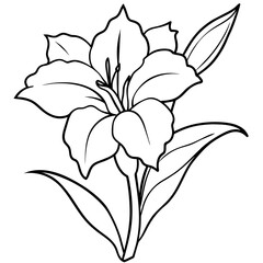 line art of a gladiolus