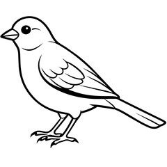 line art of a finch