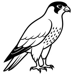 line art of a falcon