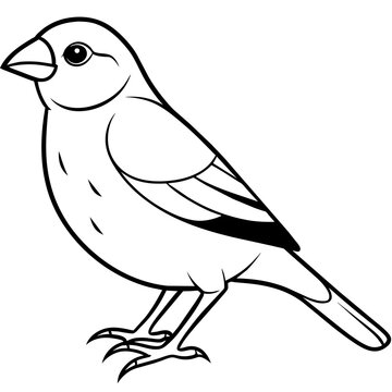 recommend clip art: line art of a finch