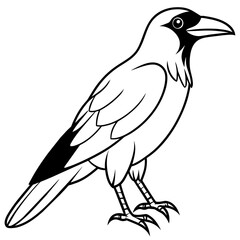 line art of a crow