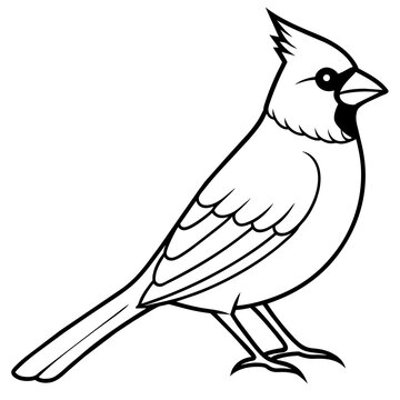 recommend clip art: line art of a cardinal