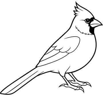 recommend clip art: line art of a cardinal