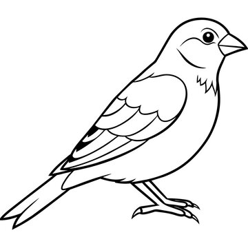recommend clip art: line art of a canary