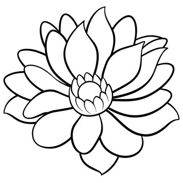 recommend clip art: line art of a anemone