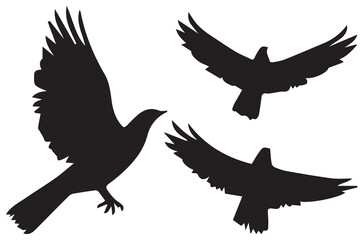 silhouettes flying birds Vector illustration