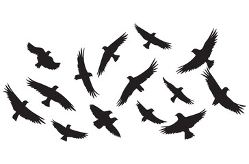 silhouettes flying birds Vector illustration