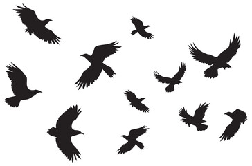 silhouettes flying birds Vector illustration