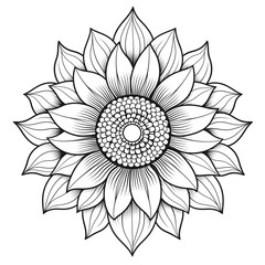 A simple black and white sunflower coloring page for adult. Coloring book for kids. A beautiful Sunflower outline botanical illustration for postcard,  logo, tattoo, woodcut, and your diy projects