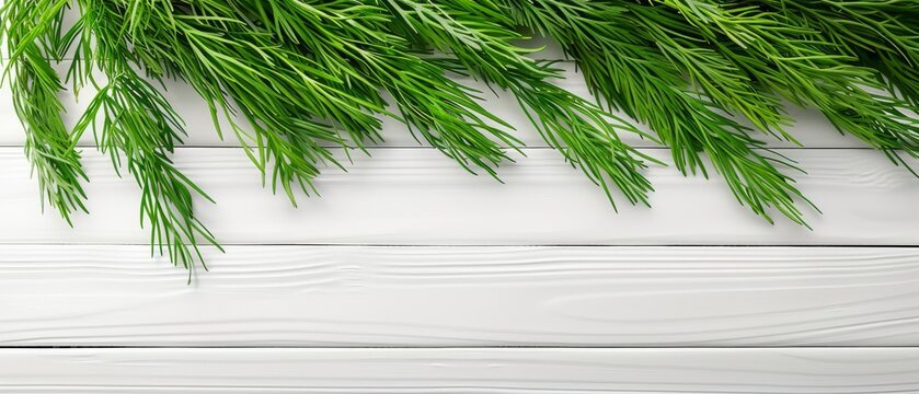 A detailed photo of a pine tree branch against a white-painted backdrop, ideal for incorporating text or an image