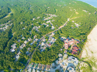 Coconut grove in the eastern suburbs of Wenchang, Hainan, China, in the summer evening