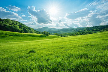 Fototapeta premium the landscape of a vast meadow for computer wallpaper, or the texture of the view outside the window for visualization, generative AI