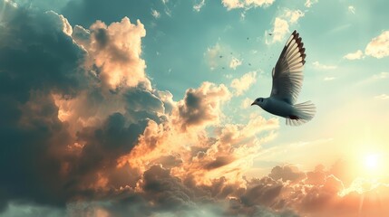 Dove in flight at sunset. 