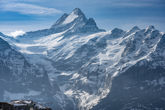 Wetterhorn and Mattenberg in spring