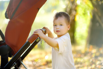 Beautiful toddler boy playing with his stroller walking outdoors at the warm autumn day