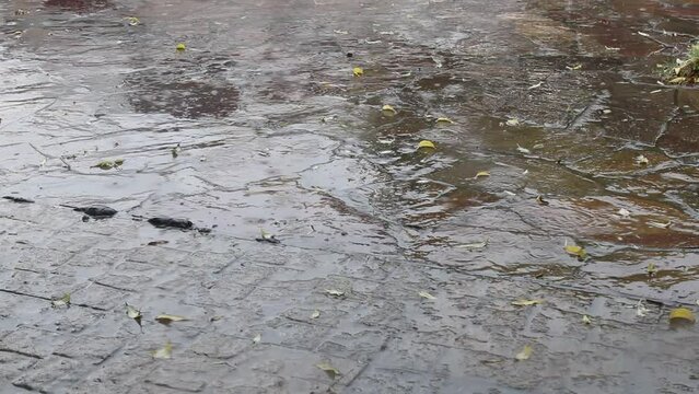 Tormenta de lluvia en la ciudad. Las gotas de lluvia caen en la acera repiqueteando con círculos y salpicando las hojas caídas en el piso,  danzan al compás del clima otoñal.