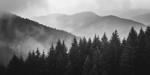 Stickers pour porte Gris 2 Forest misty landscape Generative AI