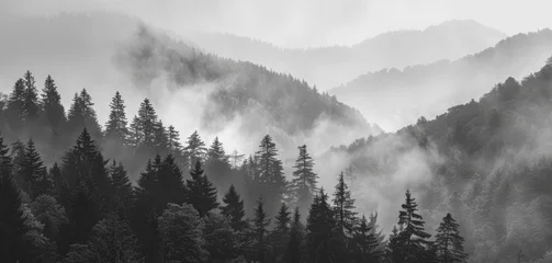 Rolgordijnen Forest misty landscape Generative AI © València