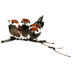 Watercolor vector illustration of bird. Traditional chinese ink and wash painting