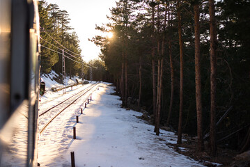 Sunset over snowy railway tracks in pine forest