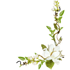 White flowers green leaf