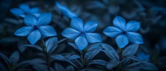   Blue flowers on a green leaf-covered field