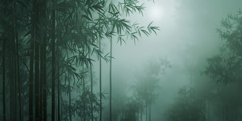 A forest with tall bamboo trees and a foggy sky