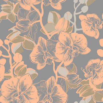 Monochrome orchid flowers and stens on grey background in earch halftones. High quality photo