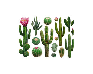 Set of cacti with flowers. Hand-drawn illustration converted to vector Generative Ai