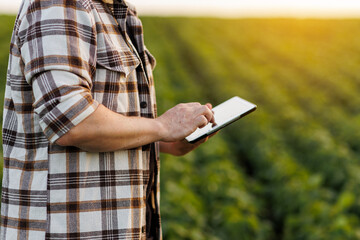 Modern agribusiness. Unrecognisable male farmer uses digital tablet for analyse, checks soybeans...