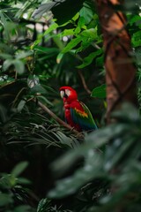 A vibrant parrot perched on a branch in a tropical rainforest, its colorful feathers standing out against the dense green foliage created with Generative AI Technology