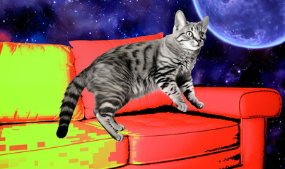 Glitch art space cat hovering above a couch with a spacey expression; feline abstract background image