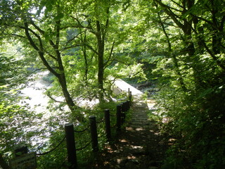 三方倉山 二口峡谷自然歩道 名取川