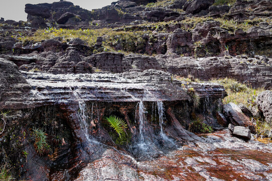 Mount Roraima