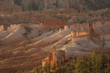 Badlands Below Eroding Hoodoos in Bryce