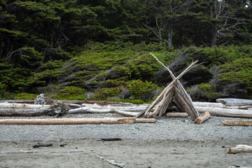 Crude Shelter Built Out Of Drift Wood On Beach In Olympic