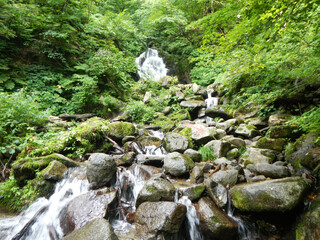 渓流 朝日鉱泉 朝日岳