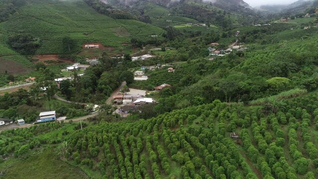 Coffee plantations on the slopes of the Capara&oacute; Mountains, Pedra Menina district - Dores do Rio Preto, Esp&iacute;rito Santo, Brazil