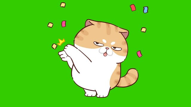 applaud animation, funny cat on green screen
