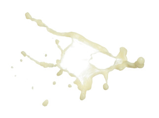 Tofu Soybean soymilk pour fall down in line shape form. Soybean milk from tofu spill splash in droplet as paint color. White background isolated high speed shutter freeze motion