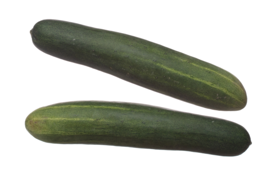 Cucumber fly in mid air, green fresh vegetable cucumber falling. Organic fresh vegetable with eaten leaf of long cucumber, close up texture. White background isolated freeze motion high speed shutter