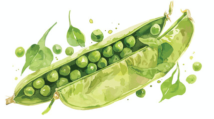 Green peas. Hand-drawn fresh vegetables. Real water